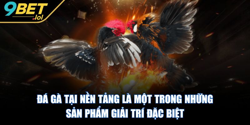 9BET - Trang Chủ Đá gà tại nền tảng là một trong những sản phẩm giải trí đặc biệt